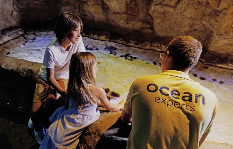 88fb1141_slider-3-oceanpass-1.jpg.800x800_q85
